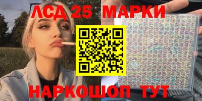 гашик Будённовск