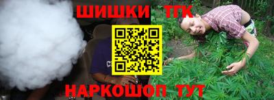 гашик Будённовск