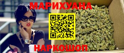 гашик Будённовск