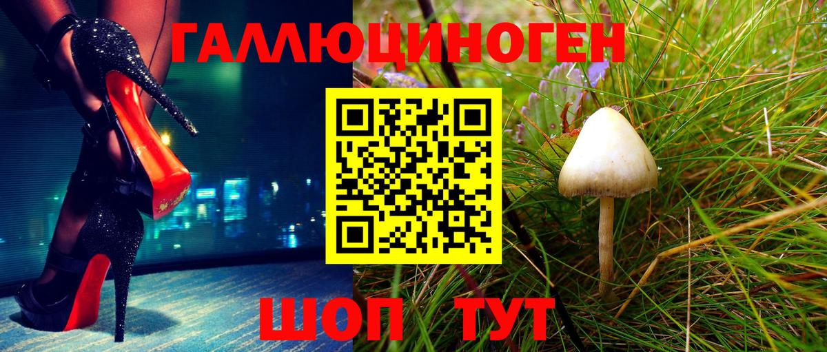 Галлюциногенные грибы GOLDEN TEACHER Тихорецк