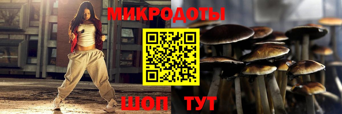 Тихорецк  Псилоцибиновые грибы Magic Shrooms  Вход с VPN 